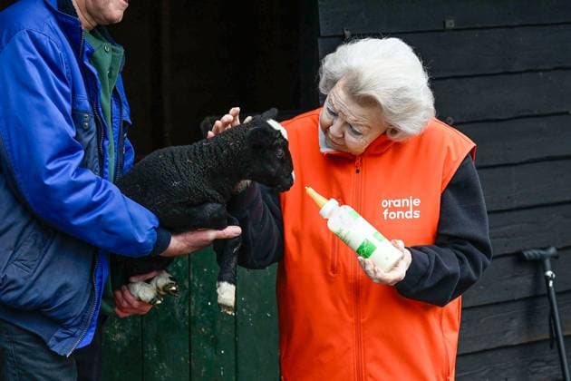The Netherlands, 2026-03-13 14:46:27 AMSTERDAM, 13-03-2026, Children s Farm. Princess Beatrix participates in a volunteer activity for NLdoet by the Orange Fund. NLdoet is taking place for the 22nd time this year. Princess Beatrix helps care for the animals at a children s farm in Amsterdam. PHOTO: NLBeeld Patrick van Emst Credit: NL Beeld Patrick van Emst  Copyright: xx x