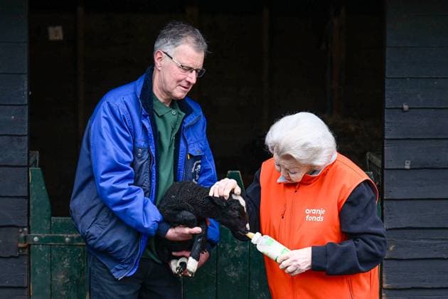 The Netherlands, 2026-03-13 14:46:56 AMSTERDAM, 13-03-2026, Children s Farm. Princess Beatrix participates in a volunteer activity for NLdoet by the Orange Fund. NLdoet is taking place for the 22nd time this year. Princess Beatrix helps care for the animals at a children s farm in Amsterdam. PHOTO: NLBeeld Patrick van Emst Credit: NL Beeld Patrick van Emst  Copyright: xx x