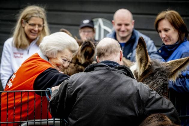 AMSTERDAM - Princess Beatrix bottles a lamb at a petting zoo. The princess worked here as part of the annual volunteer campaign NLdoet of the Orange Fund. ROBIN UTRECHT ANP netherlands out - belgium out  Copyright: xx x553225064x originalFilename: 553225064.jpg