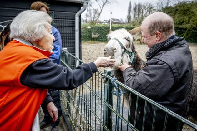 AMSTERDAM - Princess Beatrix at a petting zoo. The princess got to work here as part of the annual volunteer campaign NLdoet of the Orange Fund. ROBIN UTRECHT ANP netherlands out - belgium out  Copyright: xx x553225476x originalFilename: 553225476.jpg