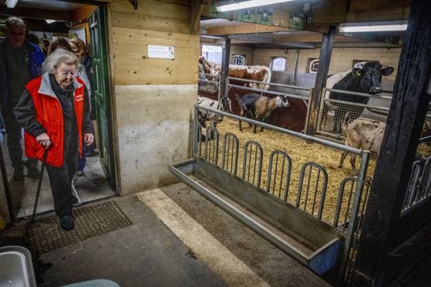 AMSTERDAM - Princess Beatrix at a petting zoo. The princess got to work here as part of the annual volunteer campaign NLdoet of the Orange Fund. ROBIN UTRECHT ANP netherlands out - belgium out  Copyright: xx x553225580x originalFilename: 553225580.jpg