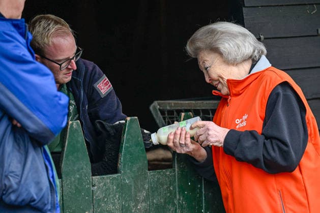13-03-2026 Amsterdam Princess Beatrix voluntering for NLDoet at a petting zoo in Amsterdam. Â  Copyright: xPPEx