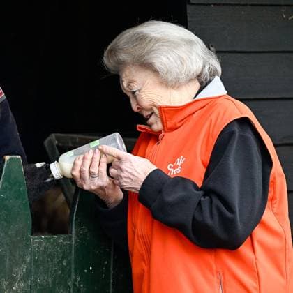 Princess Beatrix NLdoet Volunteer Day - Amsterdam Princess Beatrix participates in a volunteer activity for NLdoet by the Orange Fund. NLdoet is taking place for the 22nd time this year. Princess Beatrix helps care for the animals at a children s farm in Amsterdam. Amsterdam, Netherlands on March 13, 2026. Photo by Bruno Press ABACAPRESS.COM Amsterdam Netherlands  Copyright: xBrunoxPress ABACAx
