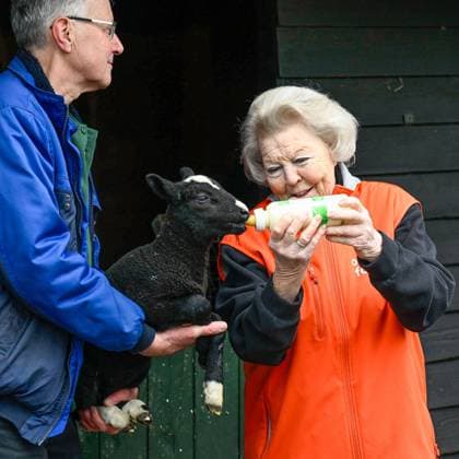 Princess Beatrix NLdoet Volunteer Day - Amsterdam Princess Beatrix participates in a volunteer activity for NLdoet by the Orange Fund. NLdoet is taking place for the 22nd time this year. Princess Beatrix helps care for the animals at a children s farm in Amsterdam. Amsterdam, Netherlands on March 13, 2026. Photo by Bruno Press ABACAPRESS.COM Amsterdam Netherlands  Copyright: xBrunoxPress ABACAx
