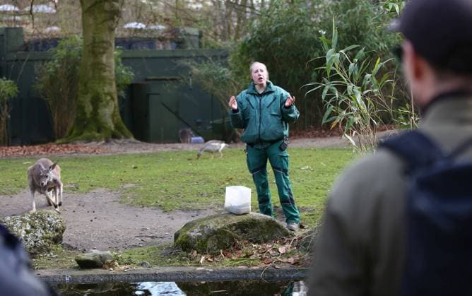 15.03.2026, xcex, GER, Hamburg, Stellingen, Zoo, Kultur, Tiere, Fruehlingserwachen im Tierpark Hagenbeck, Tierpflegerin erklaert den Besuchern Fakten zu den Roten Riesenkaengurus
