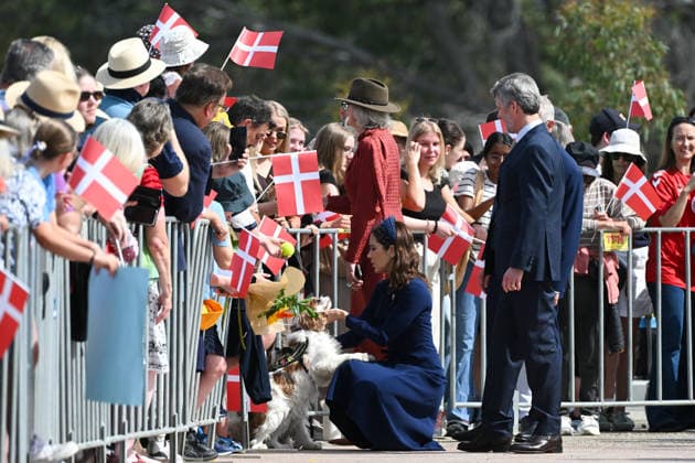 DENMARK ROYALS AUSTRALIA VISIT, Denmark s King Frederik X and Queen Mary pad a dog as they meet with members of the public during a visit to the Australian War Memorial in Canberra, Monday, March 16, 2026. ( POOL CANBERRA AUSTRALIAN CAPITAL TERRITORY AUSTRALIA Copyright: xLUKASxCOCHx 20260316173162632310
