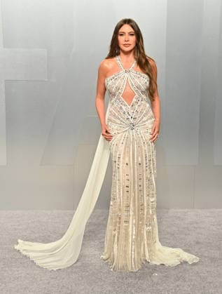 Vanity Fair Oscar Party 2026 Sofia Vergara arriving to the Vanity Fair Oscar Party 2026 held at LACMA s David Geffen Galleries on March 15, 2026 in Los Angeles, CA. Los Angeles LACMA s David Geffen Galleries California USA Copyright: xOConnor-Arroyox xAFF-USA.comx