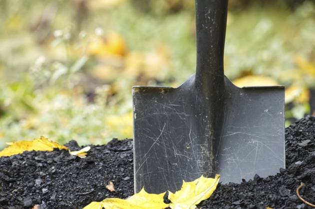 Eine Metallschaufel steht aufrecht in dunklem, nährstoffreichem Boden, umgeben von gelbem Herbstlaub. Dieses Bild zeigt Gartenarbeit, Graben, Arbeiten im Freien und saisonale Veränderungen in einem Hinterhof oder Park A metal shovel stands upright in dark, rich soil, surrounded by yellow autumn leaves. This image conveys gardening, digging, outdoor work, and seasonal changes in a backyard or park setting Copyright: imageBROKER NerijusxLiobe ibxiqx16972442.jpg