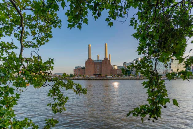 View of Battersea Power Station beside river Thames in summer at Nine Elms in London, England, United Kingdom Copyright: FrankxFell 844-42531