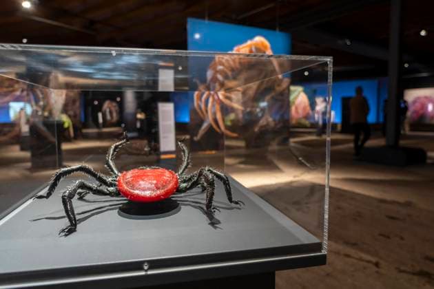 Neue Ausstellung im Gasometer Oberhausen, Mythos Wald, auf 3 Ebenen und mit mehreren Thematischen Kapiteln zeigt die Ausstellung die Diversität der Wälder der Welt mit Bildern, Videos und Exponaten, NRW, Deutschland, Mythos Wald Oberhausen