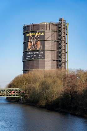 Neue Ausstellung im Gasometer Oberhausen, Rhein-Herne-Kanal, Mythos Wald, auf 3 Ebenen und mit mehreren Thematischen Kapiteln zeigt die Ausstellung die Diversität der Wälder der Welt mit Bildern, Videos und Exponaten, Rhein-Herne-Kanal, NRW, Deutschland, Mythos Wald Oberhausen