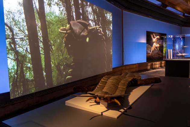 Neue Ausstellung im Gasometer Oberhausen, Mythos Wald, auf 3 Ebenen und mit mehreren Thematischen Kapiteln zeigt die Ausstellung die Diversität der Wälder der Welt mit Bildern, Videos und Exponaten, NRW, Deutschland, Mythos Wald Oberhausen
