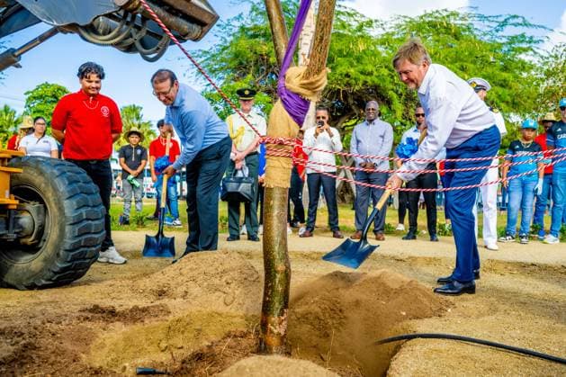 ORANJESTAD - King Willem-Alexander plants a native tree during a visit to the Urban Pocket Park on LG Smith Boulevard, where he spoke about regeneration and urban greenery. The King paid a working visit to Aruba to attend the ceremonies surrounding the celebration of 40 years of Status Aparte and 50 years of the flag and national anthem. MISCHA SCHOEMAKER ANP netherlands out - belgium out  Copyright: xx x553753415x originalFilename: 553753415.jpg