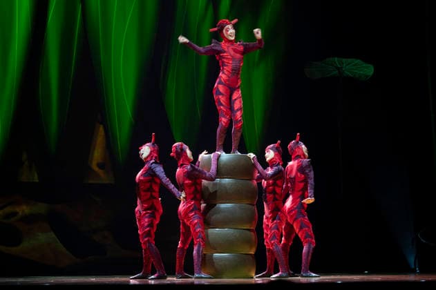 Cirque du Soleil - OVO (FOR EDITORIAL USE ONLY) Artists perform during the Cirque Du Soleil OVO show at the Movistar Arena in Madrid, March 19, 2026 in Spain. Madrid Spain Copyright: xAtilanoxGarciax xSOPAxImagesx photos09427