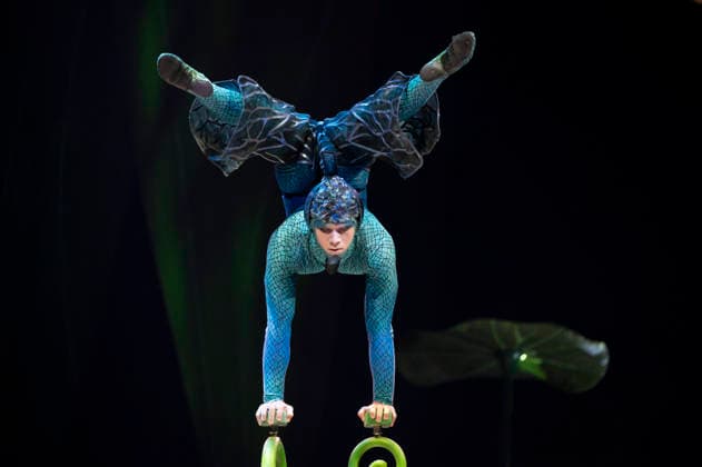 Cirque du Soleil - OVO (FOR EDITORIAL USE ONLY) Artists perform during the Cirque Du Soleil OVO show at the Movistar Arena in Madrid, March 19, 2026 in Spain. Madrid Spain Copyright: xAtilanoxGarciax xSOPAxImagesx photos09433