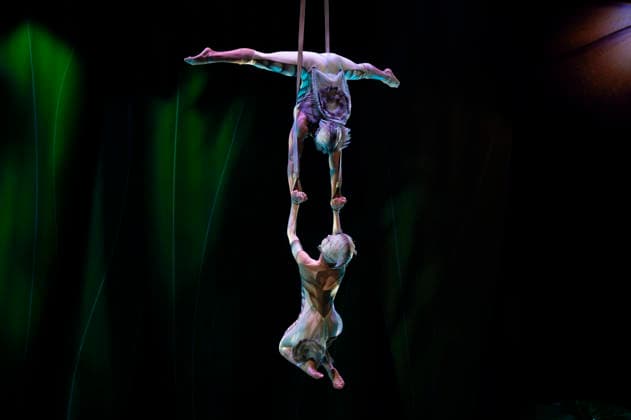 Cirque du Soleil - OVO (FOR EDITORIAL USE ONLY) Artists perform during the Cirque Du Soleil OVO show at the Movistar Arena in Madrid, March 19, 2026 in Spain. Madrid Spain Copyright: xAtilanoxGarciax xSOPAxImagesx photos09453