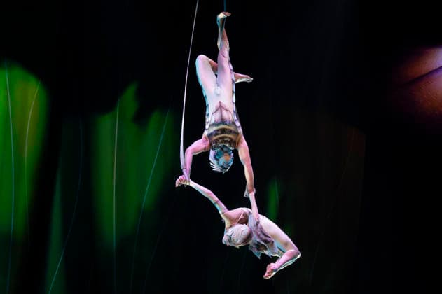 Cirque du Soleil - OVO (FOR EDITORIAL USE ONLY) Artists perform during the Cirque Du Soleil OVO show at the Movistar Arena in Madrid, March 19, 2026 in Spain. Madrid Spain Copyright: xAtilanoxGarciax xSOPAxImagesx photos09455