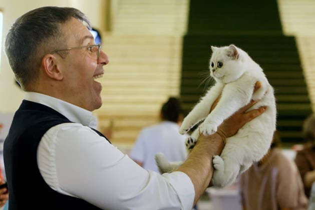 (260322) -- BUCHAREST, March 22, 2026 -- A British Shorthair cat is judged during Sofisticat Spring International Catshow at Palace Hall in Bucharest, Romania, March 21, 2026. More than 200 cats of around 30 breeds participated in the two-day feline beauty contest. (Photo by Xinhua) ROMANIA-BUCHAREST-FELINE BEAUTY CONTEST CristianxCristel 