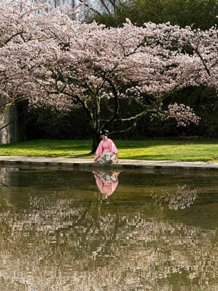 Frau in traditioneller, japanischer Kleidung bei den blühenden Kirschbäumen des Museums Langen Foundation, Neuss, Deutschland *** Woman in traditional Japanese clothing by the blossoming cherry trees of the Langen Foundation Museum, Neuss, Germany