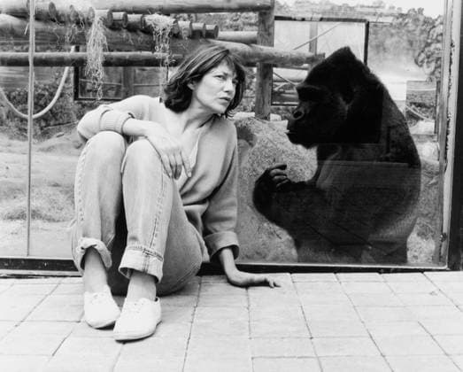 Portrait of Jane Birkin at the zoo 01 06 1997 Helene BAMBERGER Opale.photo la reproduction sous forme de tirage de cette image est soumise a une demande prealable d autorisation a l agence Opale.photo RECORD DATE NOT STATED *** Portrait of Jane Birkin at the zoo 01 06 1997 Helene BAMBERGER Opale photo reproduction in print form of this image is subject to prior authorization from the Opale photo agency RECORD DATE NOT STATED  Copyright: x HelenexBAMBERGER Opale.photox