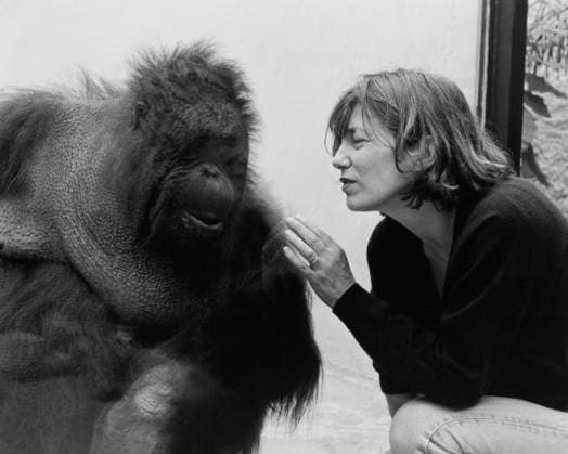 Portrait of Jane Birkin at the zoo 01 06 1997 Helene BAMBERGER Opale.photo la reproduction sous forme de tirage de cette image est soumise a une demande prealable d autorisation a l agence Opale.photo RECORD DATE NOT STATED *** Portrait of Jane Birkin at the zoo 01 06 1997 Helene BAMBERGER Opale photo reproduction in print form of this image is subject to prior authorization from the Opale photo agency RECORD DATE NOT STATED  Copyright: x HelenexBAMBERGER Opale.photox