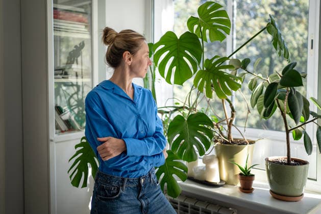 Eine nachdenkliche, positive Floristin mittleren Alters, die ihren eigenen Zimmergarten auf der Fensterbank liebevoll betrachtet. Thoughtful positive middle aged woman florist looking at own indoor garden on windowsill, observing plants with love and care. Mature female plant lover posing surrounded by potted houseplants at home (License=RF) ,model released, Symbolfoto Copyright: xZoonar.com DmitriixMarchenkox 24814379 ,model released, Symbolfoto ,property released