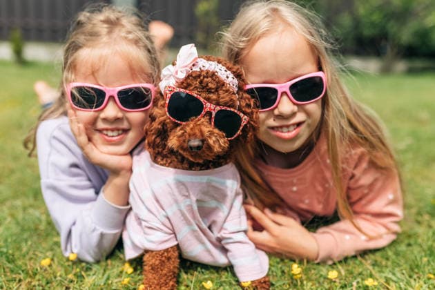 Girls and poodle dog wearing sunglasses enjoying playful summer moment outdoors model released, Symbolfoto property released, NASF00192