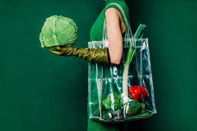 Woman with transparent bag holding cabbage on green background model released, Symbolfoto, VSNF04664