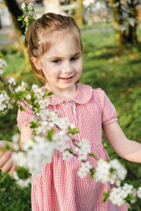 Little girl exploring blooming tree in warm spring sunset light Corby, England, United Kingdom R_ATMT260324-1988329-01 ,model released, Symbolfoto