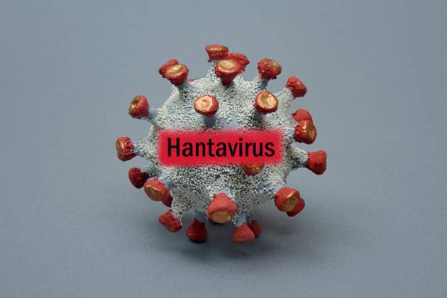 Virusmodell mit Schriftzug Hantavirus Fotomontage: Virusmodell mit Schriftzug Hantavirus, 25.03.2026, Borkwalde, Brandenburg, In ein Virusmodell wurde der Schriftzug Hantavirus montiert. *** Virus model with Hantavirus lettering Photomontage Virus model with Hantavirus lettering, 25 03 2026, Borkwalde, Brandenburg, The Hantavirus lettering was mounted in a virus model