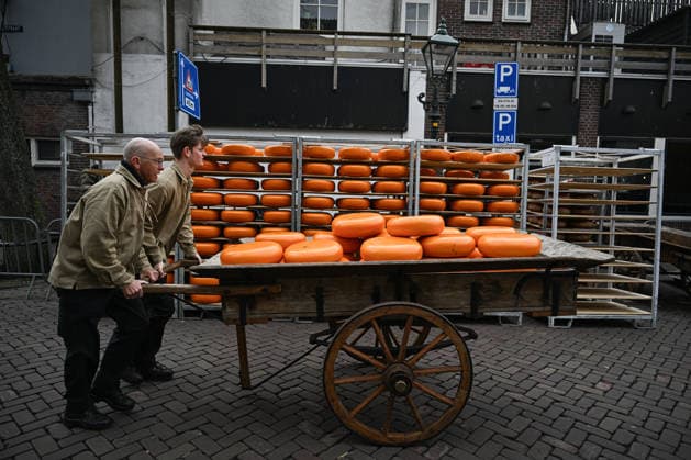 Cheese Market Season Opens in Alkmaar, Netherlands ALKMAAR, NETHERLANDS — MARCH 27: Visitors gathered for the opening, as the market continues to attract tourists from across Europe each year and remains a notable cultural attraction in Alkmaar, the Netherlands on March 27, 2026. The cheese market season opened at Waagplein in Alkmaar, marking the return of a well-known traditional event. Mouneb Taim Anadolu Alkmaar Netherlands. Editorial use only. Please get in touch for any other usage.  Copyright: x2026xAnadoluxMounebxTaimx