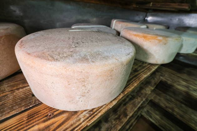 RUSSIA, REPUBLIC OF CRIMEA - MARCH 28, 2026: Wheels of cheese made from Swiss Brown milk age in a cellar at the Nyusya cheese farm Russia  - ZUMAt113 20260328_zaa_t113_281 Copyright: xMaximxChurusovx
