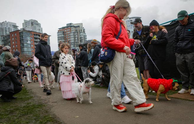 (260330) -- VANCOUVER, March 30, 2026 -- People and their dogs in costumes take part in a pet parade during the Vancouver Cherry Blossom Festival in Vancouver, British Columbia, Canada, on March 29, 2026. (Photo by Xinhua) CANADA-VANCOUVER-PET PARADE LiangxSen 