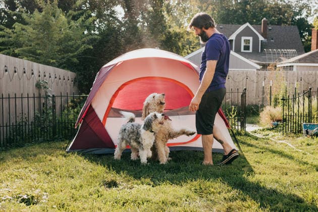 Man plays with his dogs in backyard near small red tent Sioux Falls, South Dakota, United States CR_ASWE260328-1988563-01 ,model released, Symbolfoto