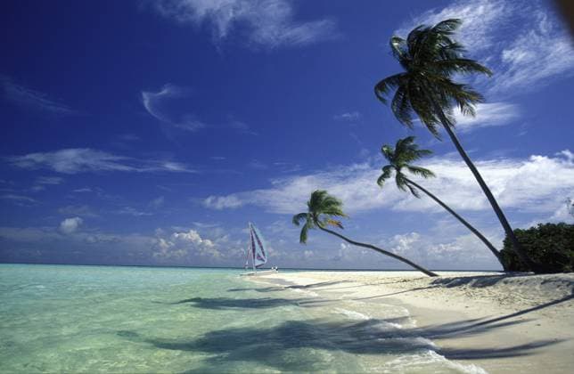 Der Traumstrand mit Palmen und weißem Sand an der Insel Velavaru im Südmal Atoll auf den Inseln der Malediven im Indischen Ozean Der Traumstrand mit Palmen und weissem Sand an der Insel Velavaru im Southmale Atoll auf den Inseln der Malediven im Indischen Ozean Copyright: imageBROKER URSxFLUEELER ibliqx17037248.jpg