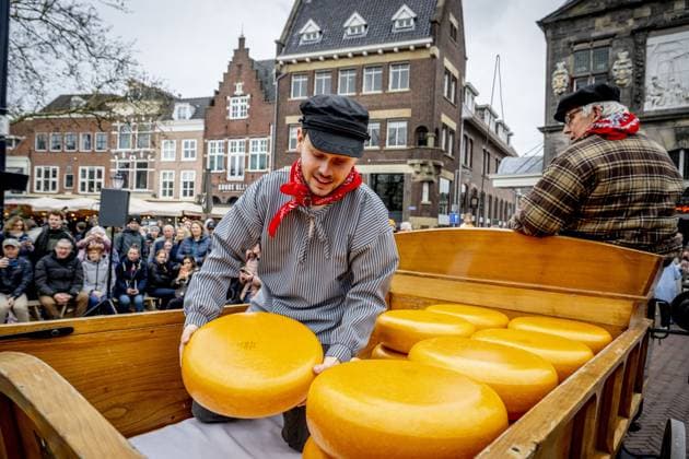 GOUDA - Tourists visit the Gouda cheese market. For several centuries, the Gouda cheese market was a market in front of the Waag in Gouda where the famous Gouda cheese was traded. Farmers from the region brought their cheeses to the market in horse-drawn cheese carts, where they were weighed, inspected, and sold. ROBIN UTRECHT ANP netherlands out - belgium out  Copyright: xx x554911446x originalFilename: 554911446.jpg