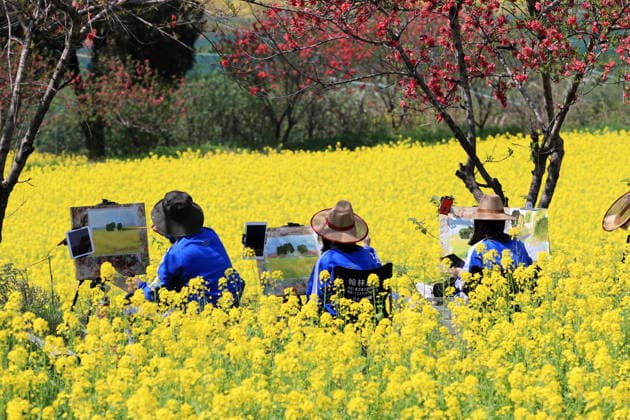 News Bilder des Tages (260403) -- BEIJING, April 3, 2026 -- Students sketch in a cole flower field in Zhanbei Town of Xiangcheng County, Xuchang City, central China s Henan Province, April 3, 2026. (Photo by Xinhua) CHINA-SPRING-SCENERY-TOURISM (CN) NiuxShupei 
