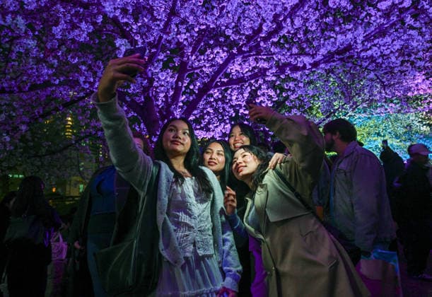 News Bilder des Tages LED lantern release draws thousands to Osaka cherry blossom fest OSAKA, JAPAN - APRIL 3: A group of young women takes a group selfie beneath a canopy of vibrantly illuminated purple cherry blossoms during the opening night of the Osaka Ogimachi Cherry Blossom Festival 2026 at Ogimachi Park in Osaka, Japan, on April 3, 2026. The festival is drawing thousands of locals, international expats and visitors to witness the cherry blossoms in layers of pink and white light, casting long shadows and creating a dreamlike landscape that differs significantly from the bright, energetic atmosphere of daytime picnics. Artur Widak Anadolu Osaka Japan. Editorial use only. Please get in touch for any other usage.  Copyright: x2026xAnadoluxArturxWidakx