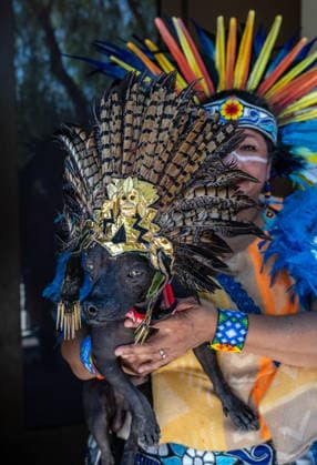 April 4, 2026, Los Angeles, California, USA: People and their pets line up in Olvera Street in Los Angeles to receive a blessing from Archbishop Jose Gomez in a Catholic tradition that celebrates St. Francis of AssisiÃ¢â‚¬â ¢s love of animals. This centuries-old tradition, usually held the Saturday before Easter, has been a part of Olvera StreetÃ¢â‚¬â ¢s history since 1930. Some people and there animals dress up, in this case, as Aztecs. Los Angeles USA  - ZUMAh234 20260404_zsp_h234_011 Copyright: xMarkxEdwardxHarrisx