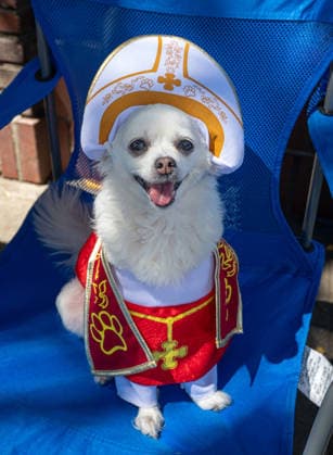 April 4, 2026, Los Angeles, California, USA: People and their pets line up in Olvera Street in Los Angeles to receive a blessing from Archbishop Jose Gomez in a Catholic tradition that celebrates St. Francis of Assisi s love of animals. Among them is this dog named Missy. This centuries-old tradition, usually held the Saturday before Easter, has been a part of Olvera Street s history since 1930. Los Angeles USA  - ZUMAh234 20260404_zsp_h234_002 Copyright: xMarkxEdwardxHarrisx