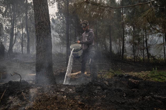 Forest fire near the National Airport of Vigo Peinador Areas burned by the forest fire in the Galleiro mountain, on April 6, 2026, in Ribadetea, Ponteareas, Pontevedra, Galicia Spain The Galleiro mountain fire began at 14 47 hours in the parish of Ribadetea, in the municipality of Ponteareas According to the Consellería do Medio Rural, three airplanes, two helicopters, fifteen brigades, seven motor-pumps, ten agents, a shovel and a technician are operating in the area 06 APRIL 2026 Elena Ferná Ribadetea, Ponteareas, Pontevedr Ribadetea, Ponteareas, Pontevedr Spain  Copyright: xElenaxFernandezx 7418881