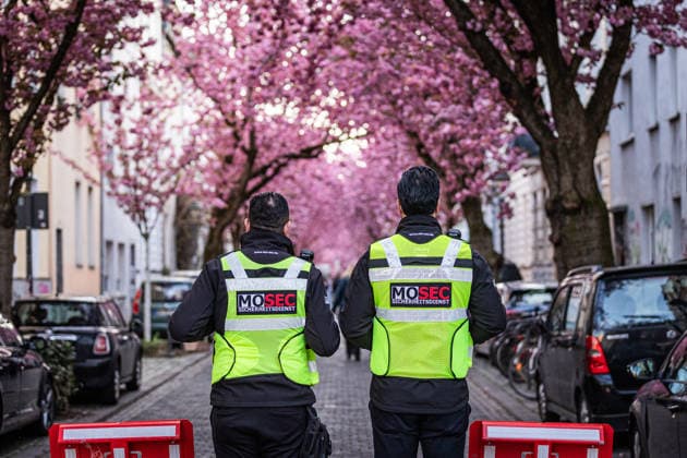 Kirschblüte in der Altstadt von Bonn, 6.4.2026 Sicherheitsleute bewachen die Zugänge - Seit vielen Jahren ist die Kirschblüte in der Bonner Altstadt ein Touristenmagnet, Auch in diesem Jahr werden wieder zehntausende Menschen in die Stadt kommen und die Kirschblüten in der Breite Straße und Heerstraße bestaunen. Alle Zufahrten zu den Straßen sind seit einigen Tagen abgesperrt, die Zugänge werden bewacht. Bonn NRW Deutschland Copyright: xSebastianxDerixx
