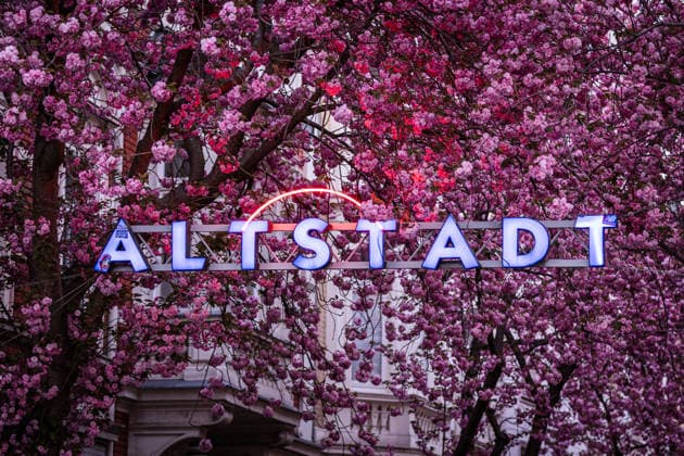 Kirschblüte in der Altstadt von Bonn, 6.4.2026 Seit vielen Jahren ist die Kirschblüte in der Bonner Altstadt ein Touristenmagnet, Auch in diesem Jahr werden wieder zehntausende Menschen in die Stadt kommen und die Kirschblüten in der Breite Straße und Heerstraße bestaunen. Alle Zufahrten zu den Straßen sind seit einigen Tagen abgesperrt, die Zugänge werden bewacht. Bonn NRW Deutschland Copyright: xSebastianxDerixx