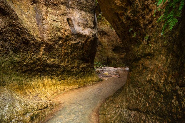 Creative Highlights World Narrow water channel flows between moss-covered canyon walls in Granada, Andalusia, Spain during daytime Copyright: CasparxSchlageter 1372-1832