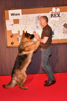 Maximilian Brueckner and german shepherd Rex arrive at the Kommissar Rex Season Premiere at Astor Film Lounge on April 8, 2026 in Munich, Germany Kommissar Rex Season Premiere in Munich, Germany