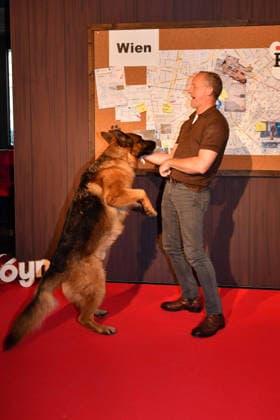 Maximilian Brueckner and german shepherd Rex arrive at the Kommissar Rex Season Premiere at Astor Film Lounge on April 8, 2026 in Munich, Germany Kommissar Rex Season Premiere in Munich, Germany