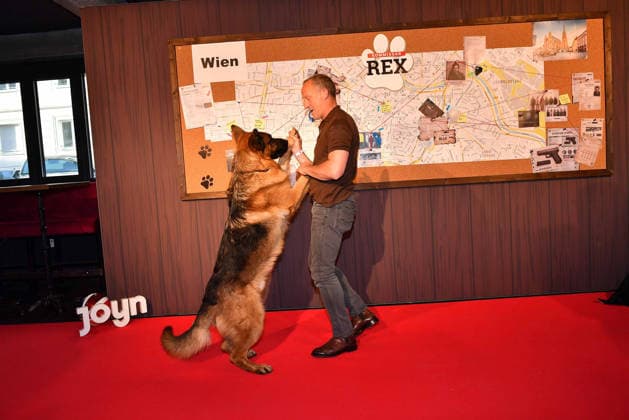 Maximilian Brueckner and german shepherd Rex arrive at the Kommissar Rex Season Premiere at Astor Film Lounge on April 8, 2026 in Munich, Germany Kommissar Rex Season Premiere in Munich, Germany