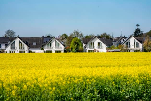 Wohnsiedlung, Wohngebiet, Einfamilienhäuser, im Süden von Essen, wohnen im Grünen, gelbes Rapsfeld, NRW, Deutschland, Wohnen im Grünen *** Housing estate, residential area, detached houses, in the south of Essen, living in the countryside, yellow rape field, NRW, Germany, living in the countryside
