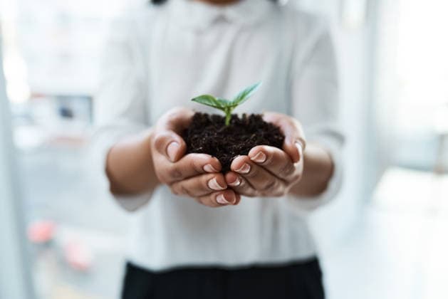Business, soil and hands of woman with plant for eco friendly campaign, project and resource management. Corporate, office and person with sprout for sustainability, environmental impact and growth. model released property released Copyright: xwww.peopleimages.comx