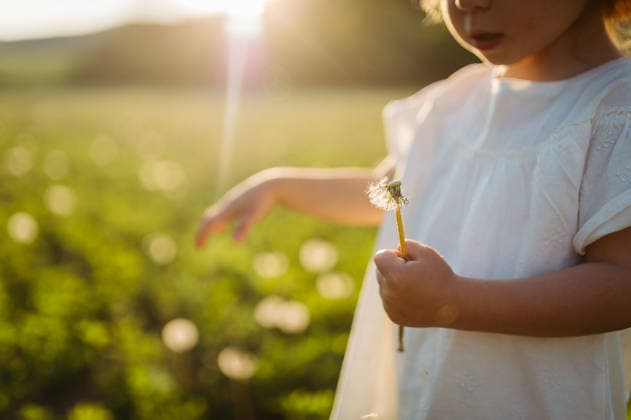 Cute girl playing on meadow, holding dandelion. Cute girl playing on meadow, holding dandelion. . Spring season. model released